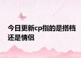 今日更新cp指的是搭档还是情侣