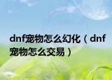 dnf宠物怎么幻化（dnf宠物怎么交易）