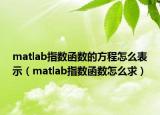 matlab指数函数的方程怎么表示（matlab指数函数怎么求）