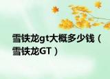 雪铁龙gt大概多少钱（雪铁龙GT）