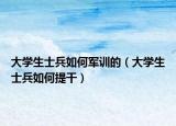 大学生士兵如何军训的（大学生士兵如何提干）