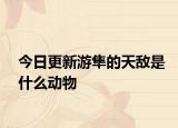 今日更新游隼的天敌是什么动物