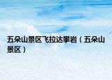 五朵山景区飞拉达攀岩（五朵山景区）