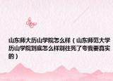 山东师大历山学院怎么样（山东师范大学历山学院到底怎么样别往死了夸我要真实的）