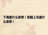 下海是什么意思（饭圈上岛是什么意思）