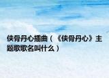 侠骨丹心插曲（《侠骨丹心》主题歌歌名叫什么）