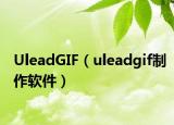 UleadGIF（uleadgif制作软件）