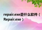 repair.exe是什么软件（Repair.exe）