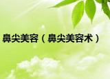 鼻尖美容（鼻尖美容术）