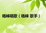 杨峰唱歌（杨峰 歌手）
