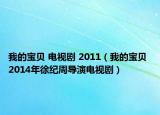 我的宝贝 电视剧 2011（我的宝贝 2014年徐纪周导演电视剧）
