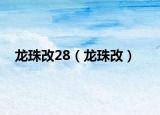 龙珠改28（龙珠改）