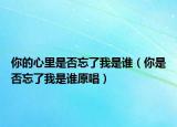 你的心里是否忘了我是谁（你是否忘了我是谁原唱）