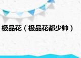 极品花（极品花都少帅）