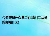 今日更新什么是三农(农村三块地指的是什么)