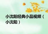 小沈阳经典小品视频（小沈阳）