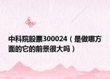 中科院股票300024（是做哪方面的它的前景很大吗）