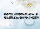 牡丹花什么时间播种怎么样种（牡丹花播种方法步骤时间8月9月播种）