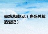 蛊惑总裁txt（蛊惑总裁追爱记）