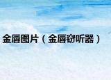金唇图片（金唇窃听器）