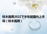 铃木雨燕2022下半年能国内上市吗（铃木雨燕）
