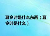 夏令时是什么东西（夏令时是什么）