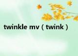 twinkle mv（twink）