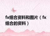 fx组合资料和图片（fx组合的资料）