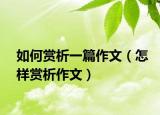 如何赏析一篇作文（怎样赏析作文）