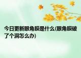今日更新眼角膜是什么(眼角膜破了个洞怎么办)