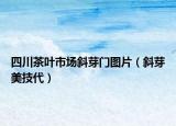 四川茶叶市场斜芽门图片（斜芽美技代）