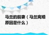 马兰的前妻（马兰离婚原因是什么）