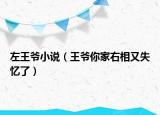 左王爷小说（王爷你家右相又失忆了）
