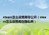 steam怎么设置库存公开（steam怎么设置库存隐私啊）