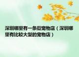 深圳哪里有一条街宠物店（深圳哪里有比较大型的宠物店）