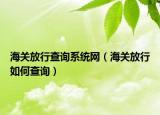 海关放行查询系统网（海关放行如何查询）