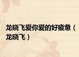 龙晓飞爱你爱的好疲惫（龙晓飞）