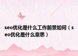 seo优化是什么工作前景如何（seo优化是什么意思）