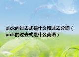 pick的过去式是什么和过去分词（pick的过去式是什么英语）