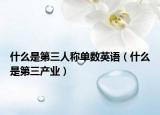 什么是第三人称单数英语（什么是第三产业）