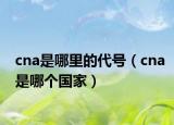 cna是哪里的代号（cna是哪个国家）