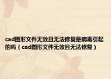 cad图形文件无效且无法修复是病毒引起的吗（cad图形文件无效且无法修复）