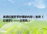 走进红楼梦手抄报的内容（走进《红楼梦》——王熙凤）