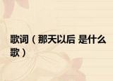歌词（那天以后 是什么歌）