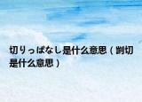 切りっぱなし是什么意思（剀切是什么意思）