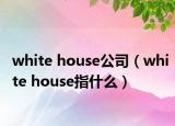 white house公司（white house指什么）