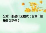 公章一般是什么格式（公章一般是什么字体）