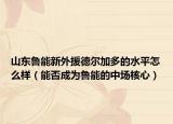 山东鲁能新外援德尔加多的水平怎么样（能否成为鲁能的中场核心）