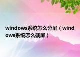 windows系统怎么分屏（windows系统怎么截屏）