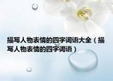 描写人物表情的四字词语大全（描写人物表情的四字词语）